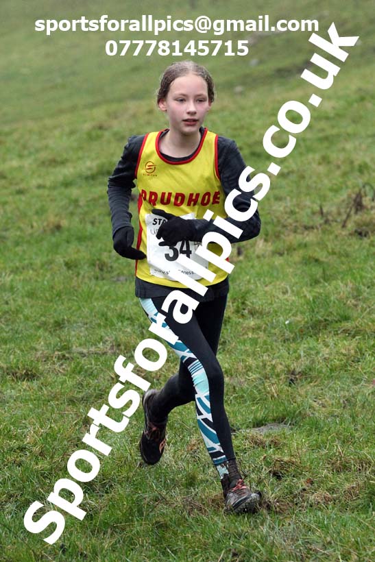 Girls under-13s, NECAA Junior Cross Country Relays, Thornley Farm, Peterlee, Saturday, December 12th. Photo: David T. Hewitson/Sports for All Pics